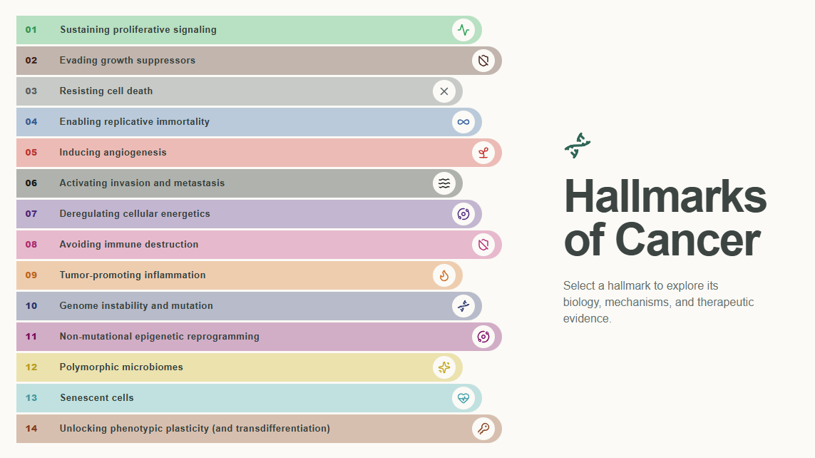 Hallmarks of Cancer tool preview